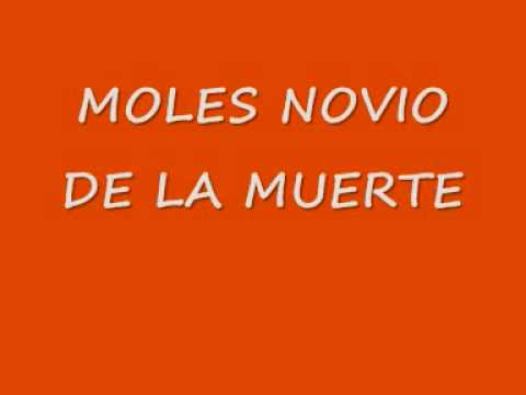 amigo mio eres el novio de la muerte