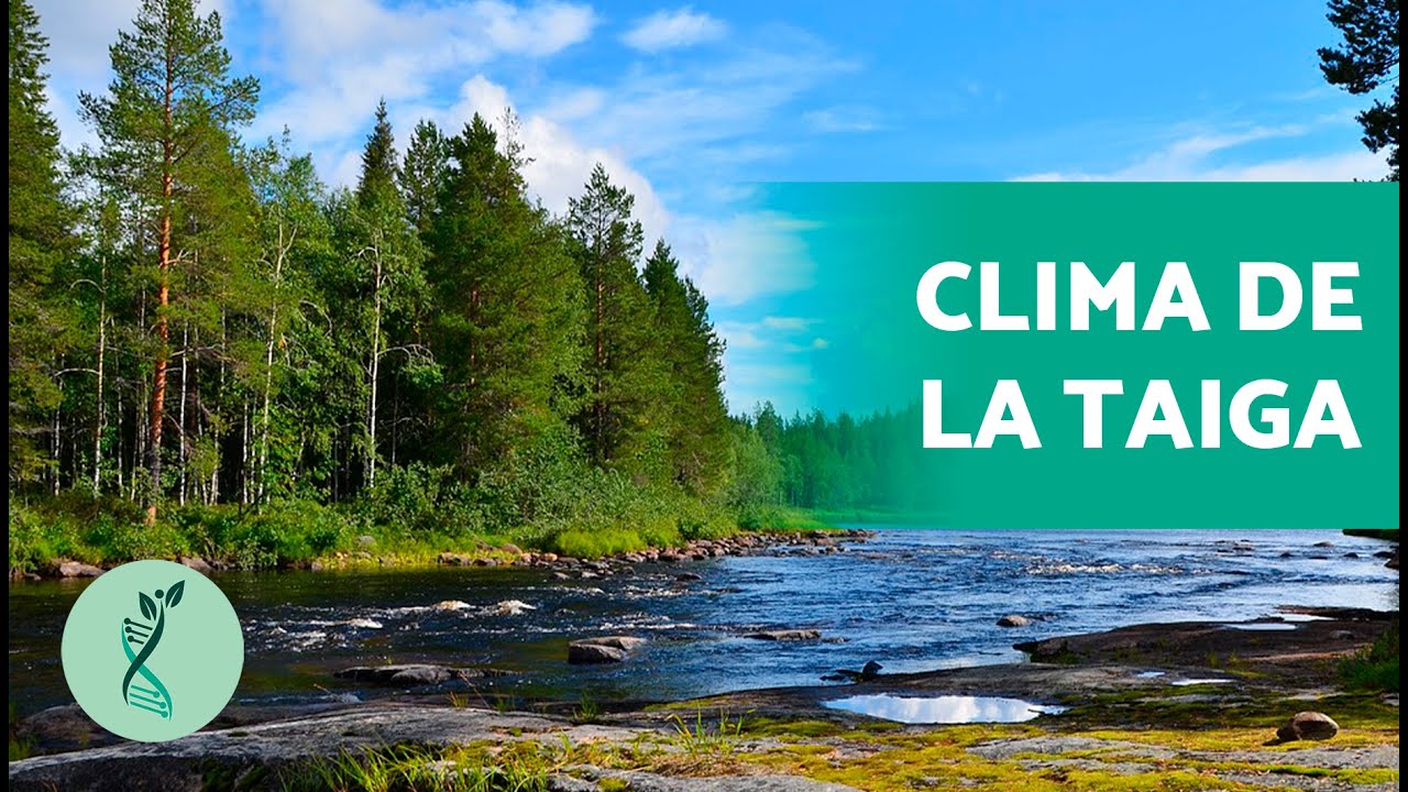 animales en peligro de extincion de la taiga