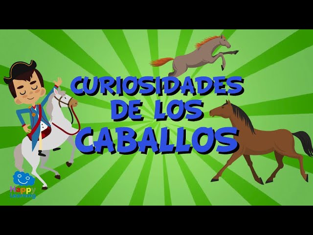 ciclo de vida del caballo para niños en español