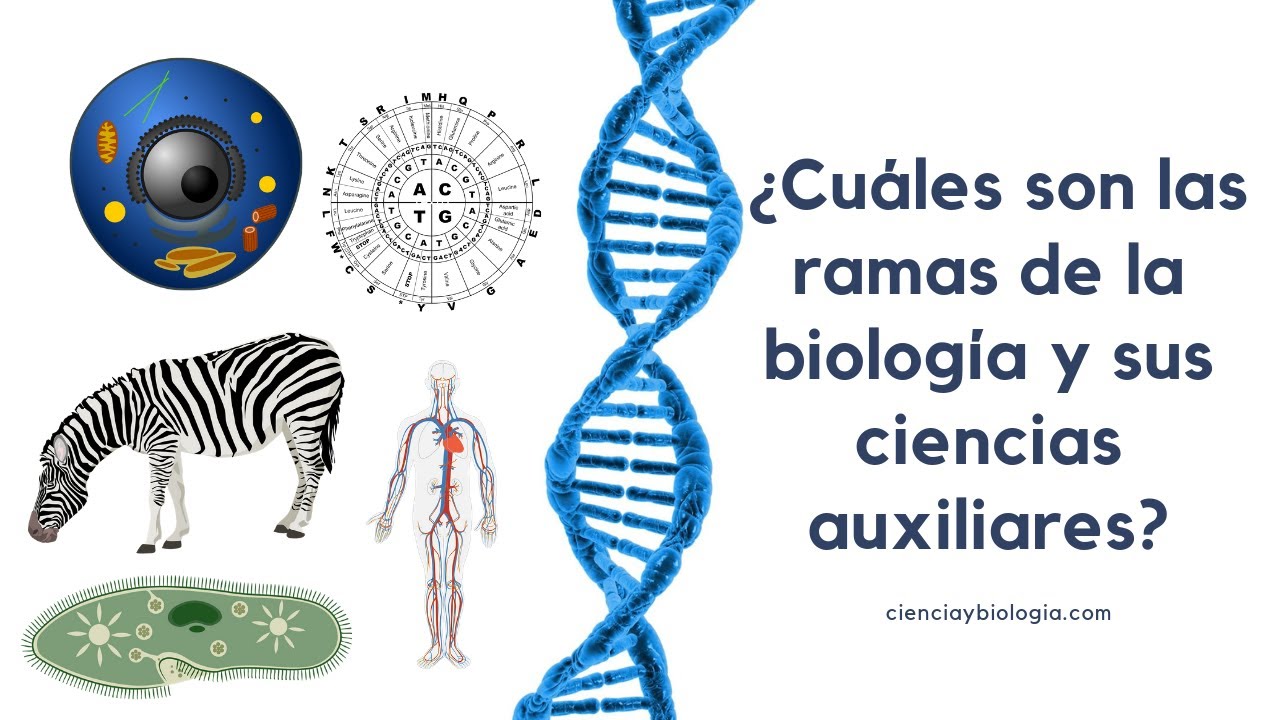 ciencias auxiliares de la biologia y que estudian
