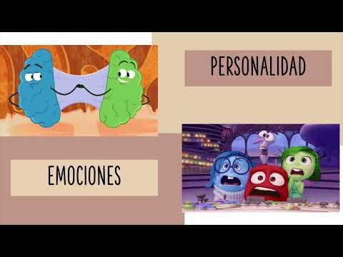 desarrollo emocional en niños de 6 a 12 años