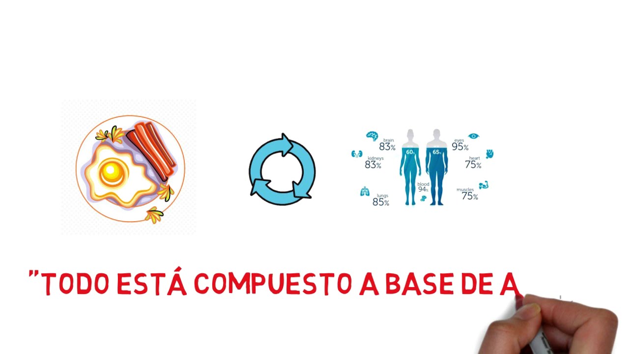 el agua es el principio de todas las cosas