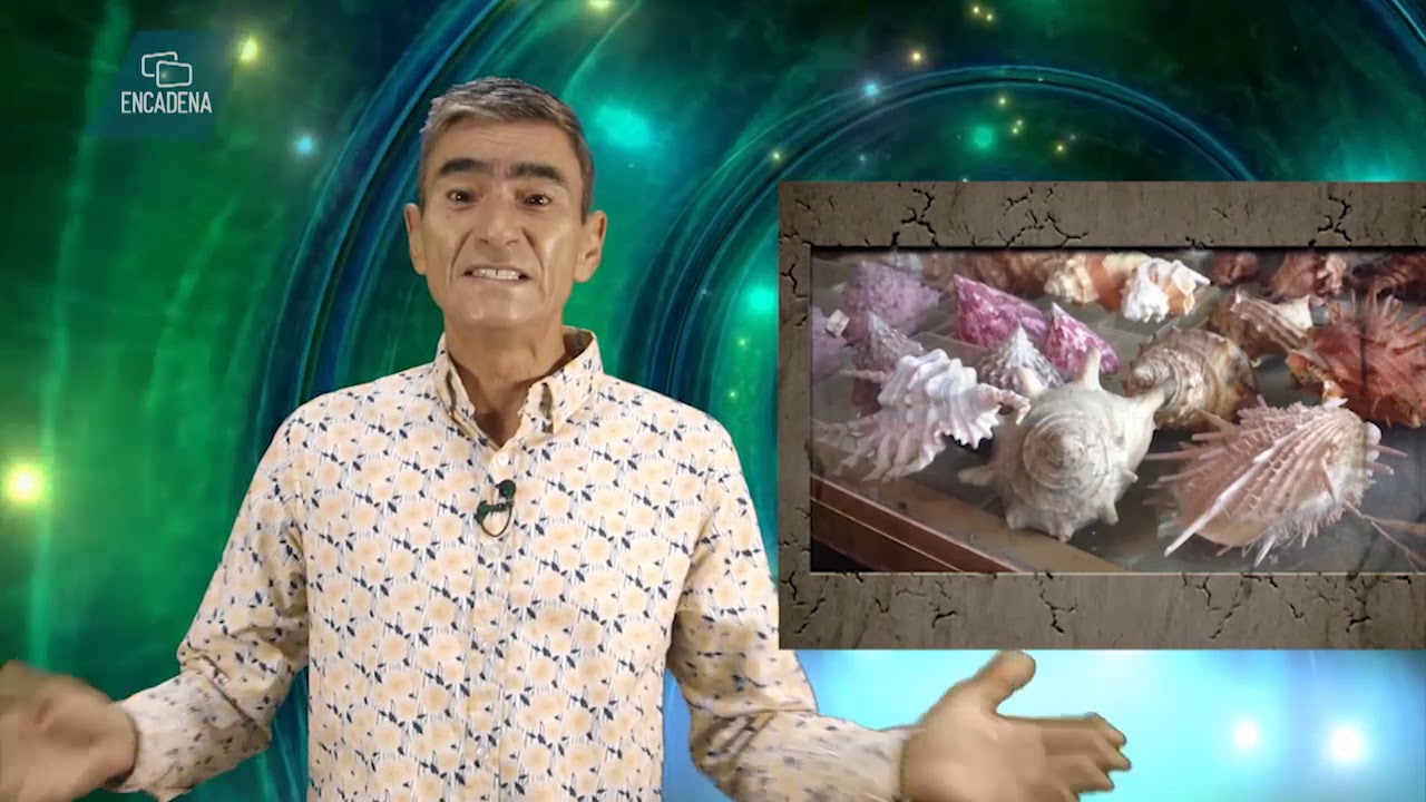 es malo tener arena de mar en casa