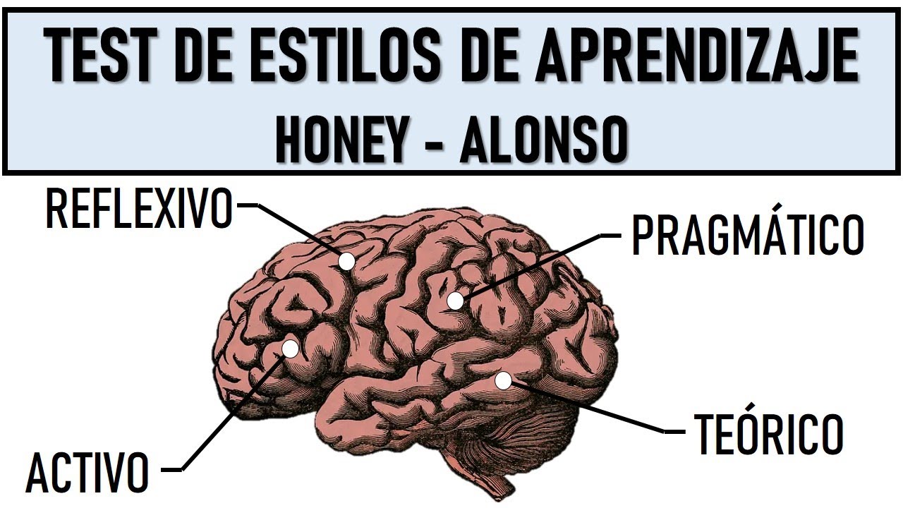 estilo de aprendizaje reflexivo de honey & alonso