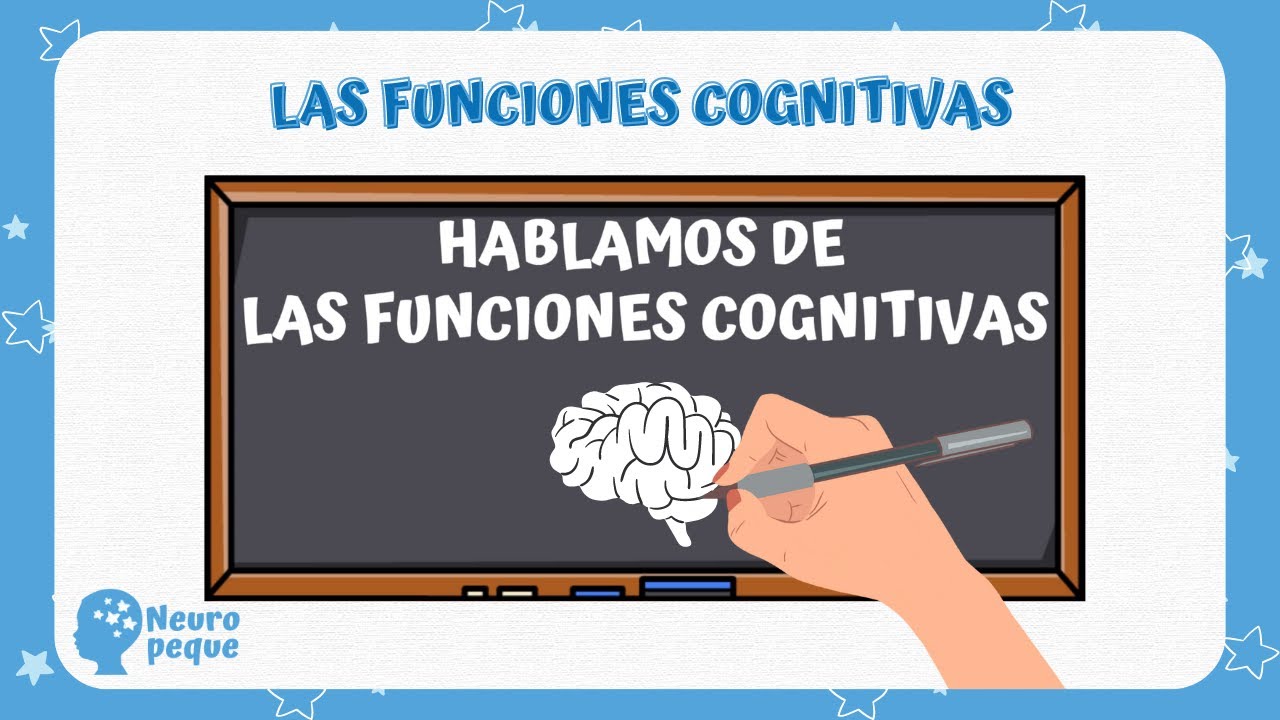 funciones cognitivas fase de entrada elaboracion y salida