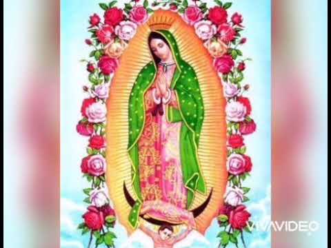 mira que contenta estas toda rodeada de flores