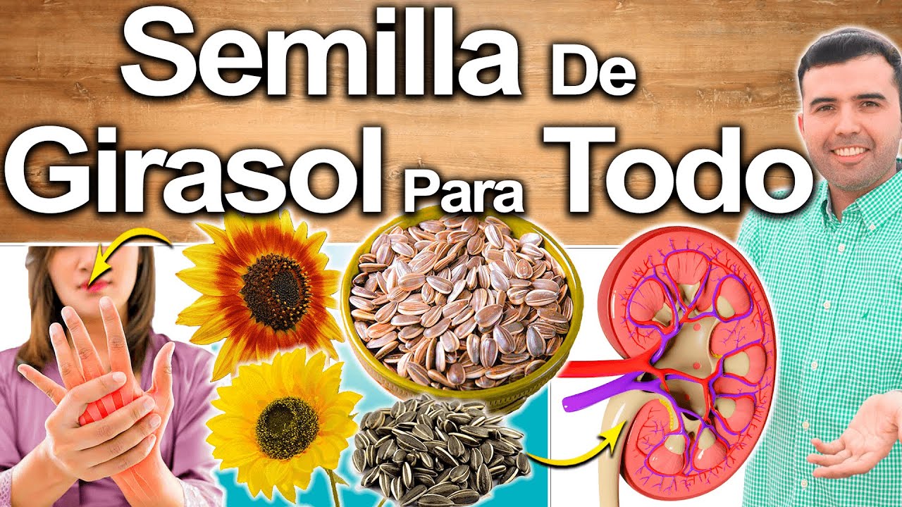 para que sirve la semilla de girasol en el cabello