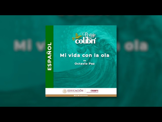 que tipo de texto es mi vida con la ola