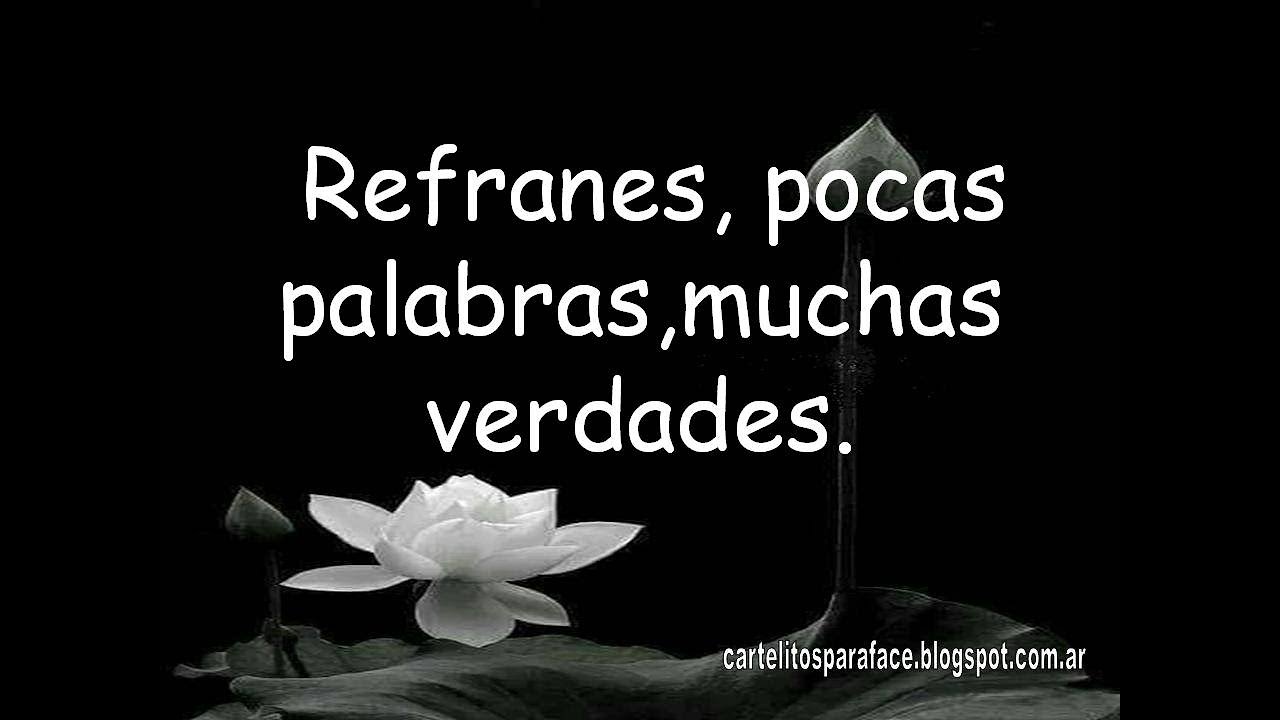 refran aveces es mejor dar su tiempo a cada cosa