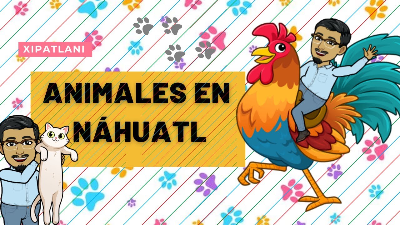 animales en nahuatl y su significado en español