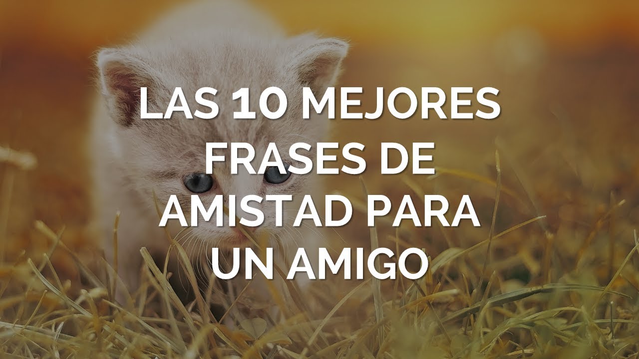 carta de amistad para un amigo muy especial