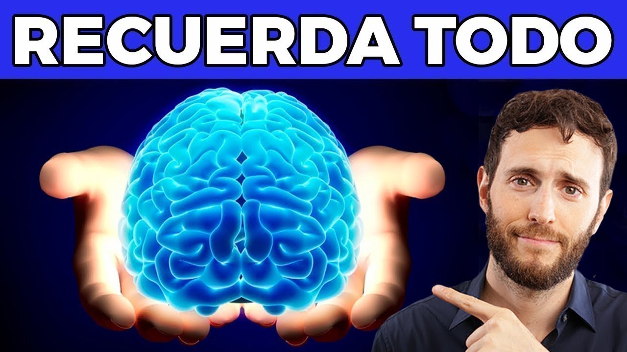 como retener mejor la informacion en el cerebro