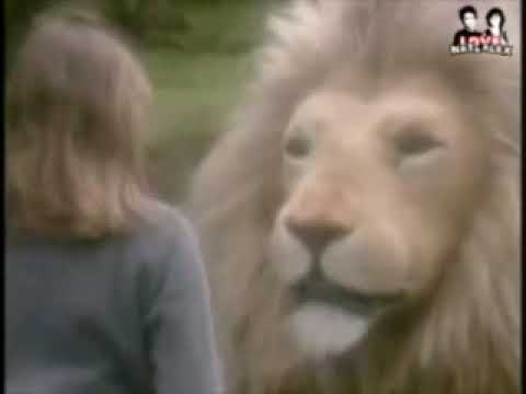 cronicas de narnia pelicula completa en español 2