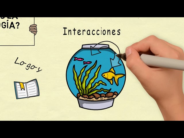 cuales son las raices etimologicas del termino ecologia