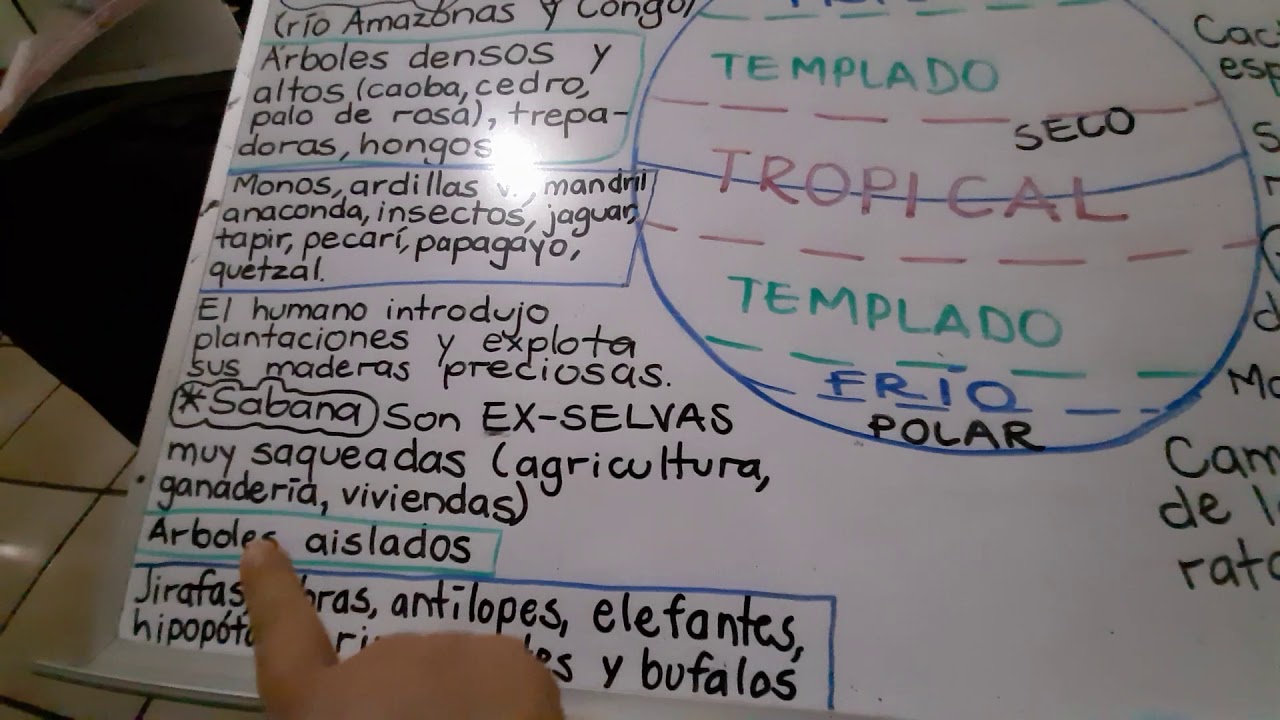 cuales son las regiones naturales de clima seco