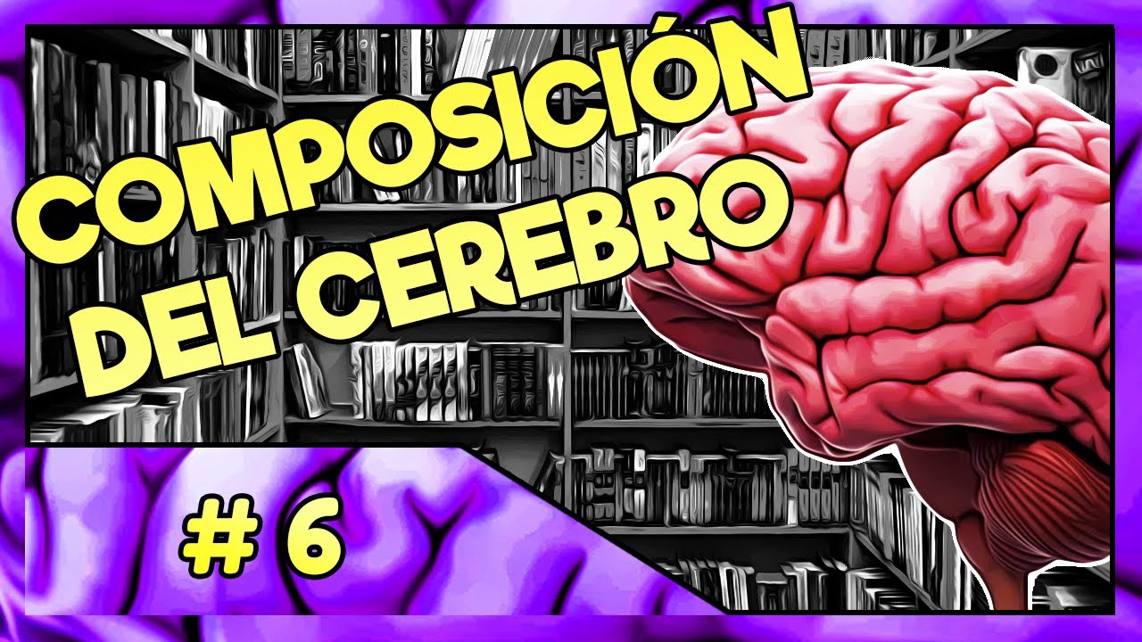 el cerebro está compuesto por millones de ellas