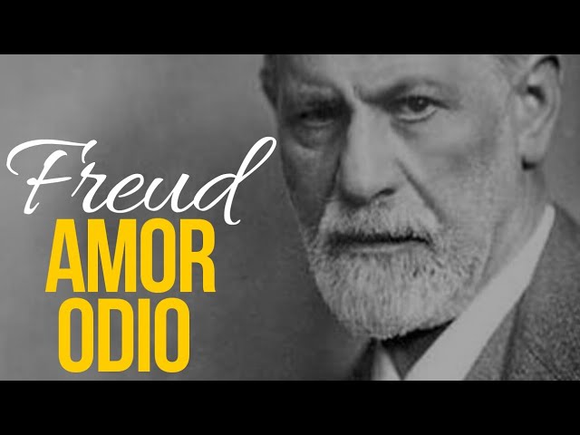 frases de odio y amor a la vez