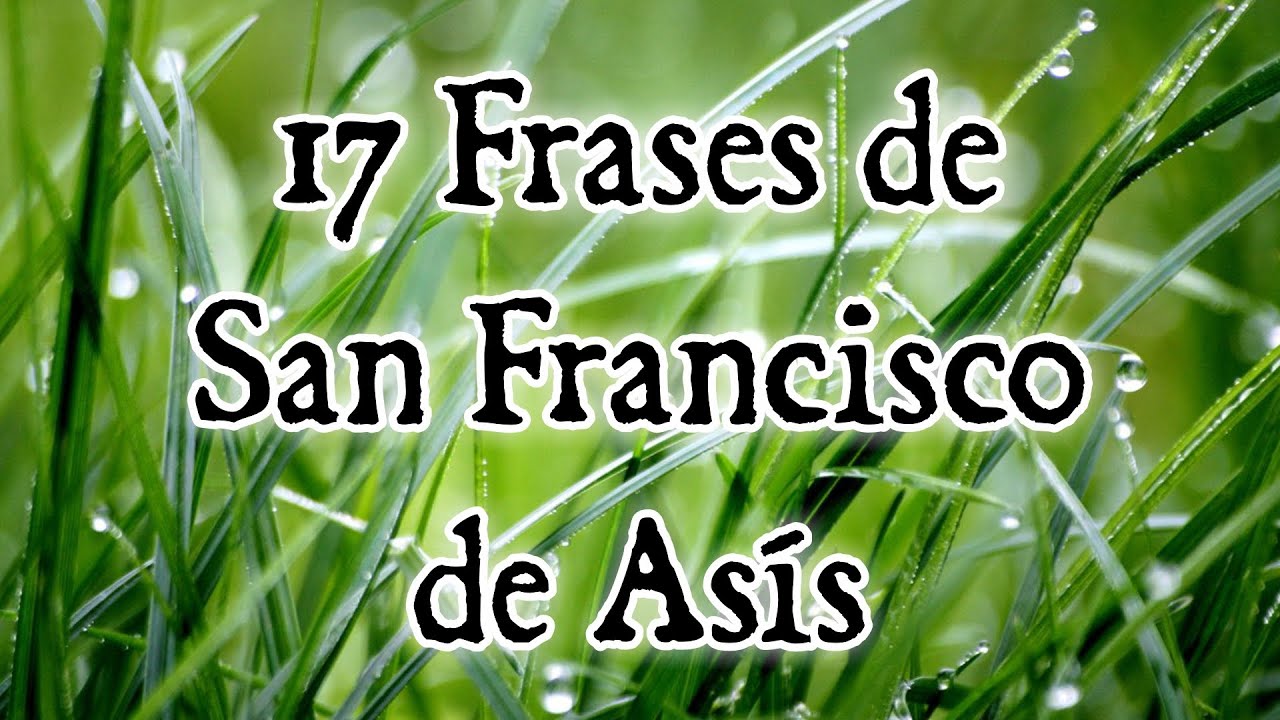 frases de san francisco de asis necesito poco