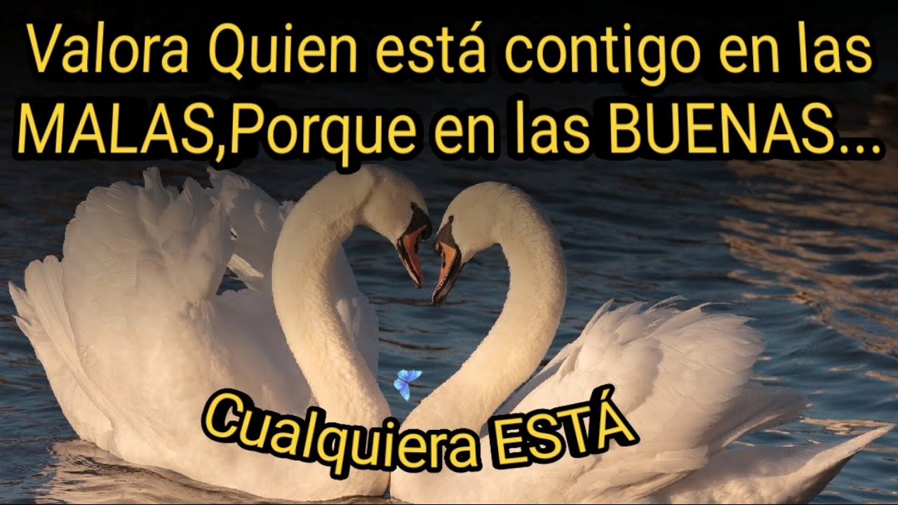 frases en las buenas y en las malas