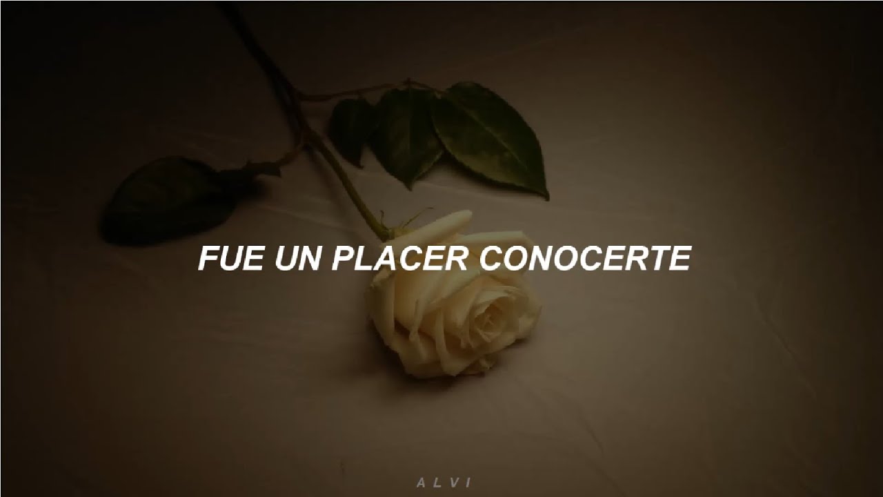ha sido un amor conocerte placer de mi vida letra