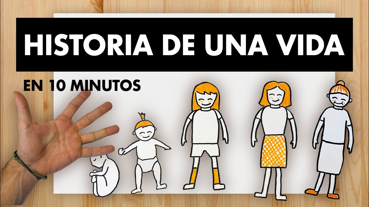 linea de tiempo de las etapas del desarrollo humano