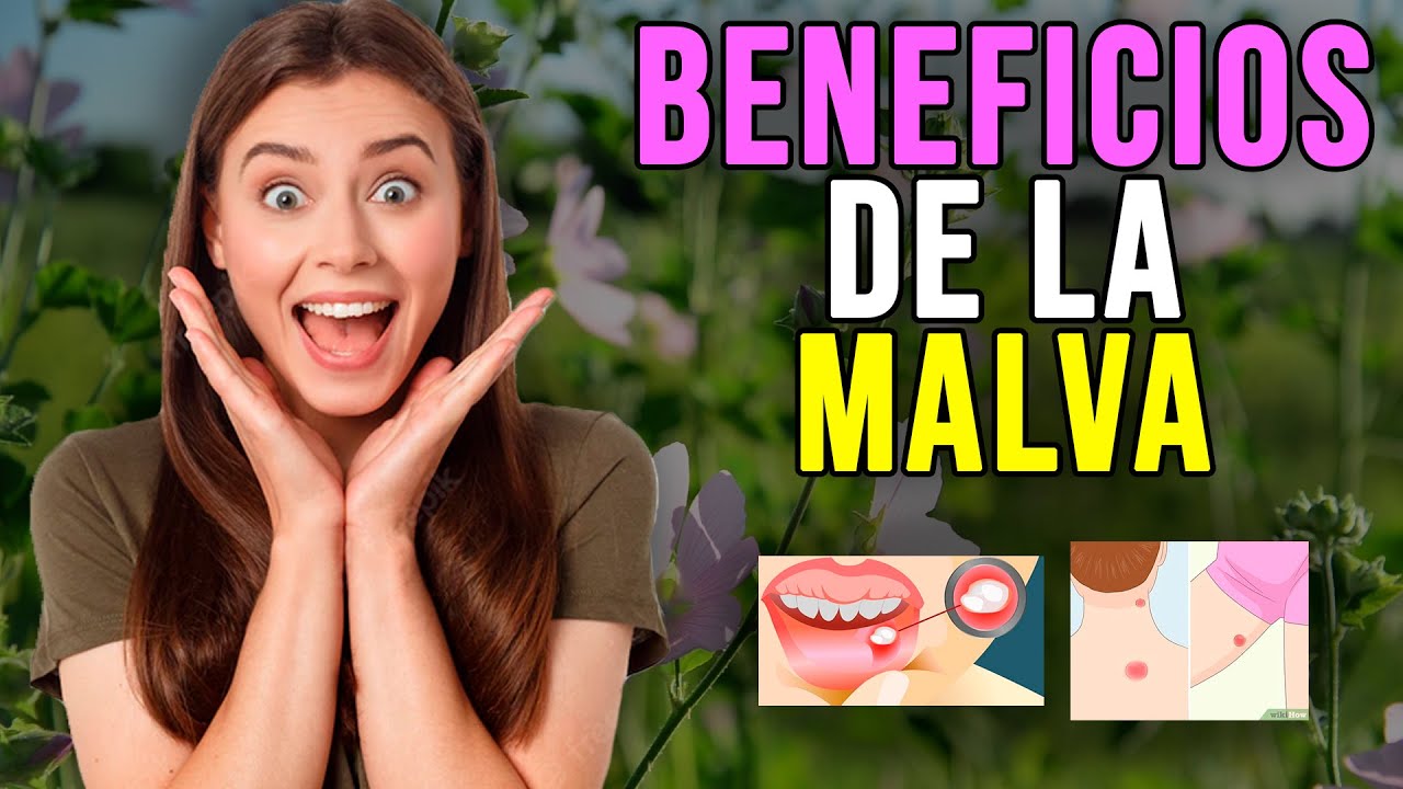 malva para que sirve y como se prepara
