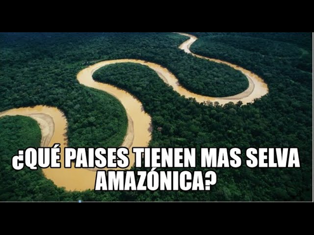 menciona un país de cada continente que tenga selva