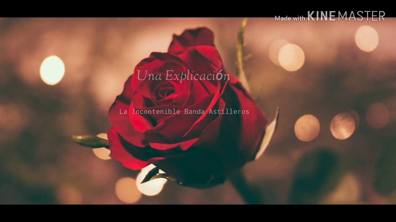 no te pido nada que no puedas darme