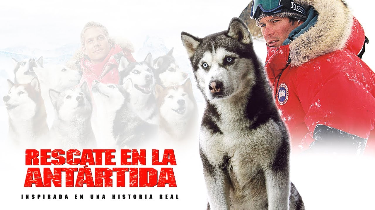 nombre de los perros de la pelicula bajo cero