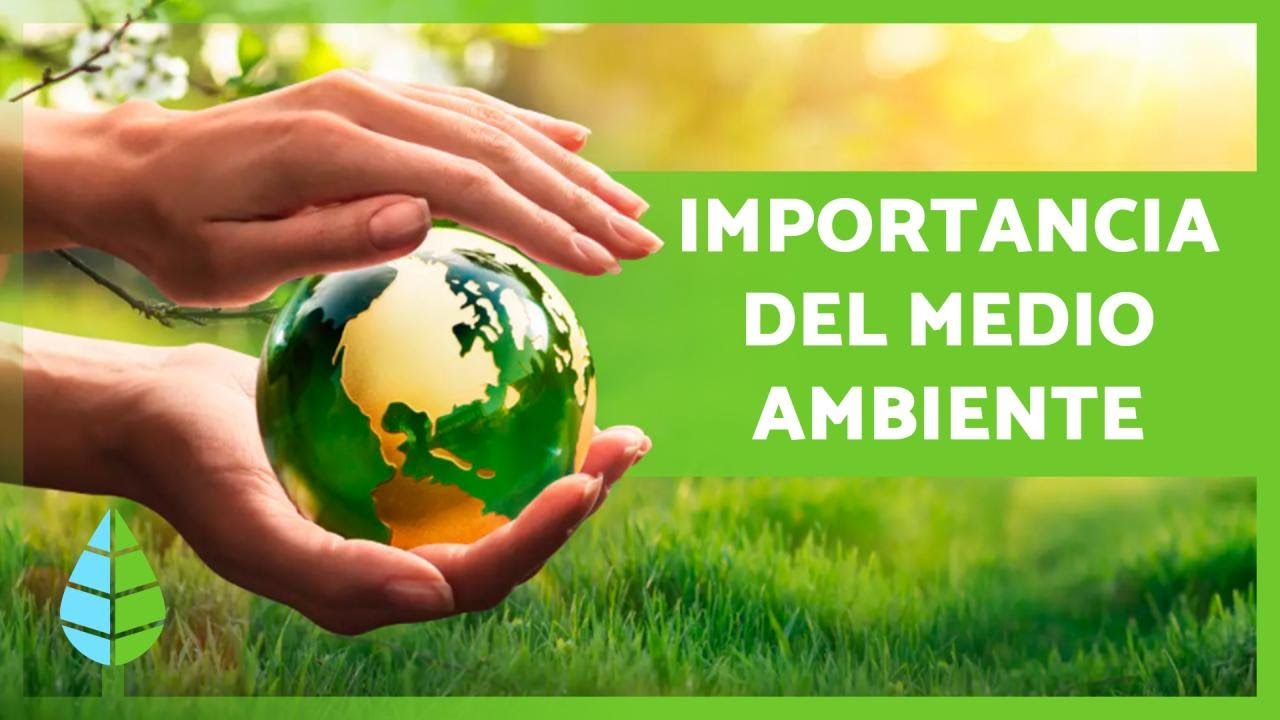 porque la importancia de asentarse en ese lugar