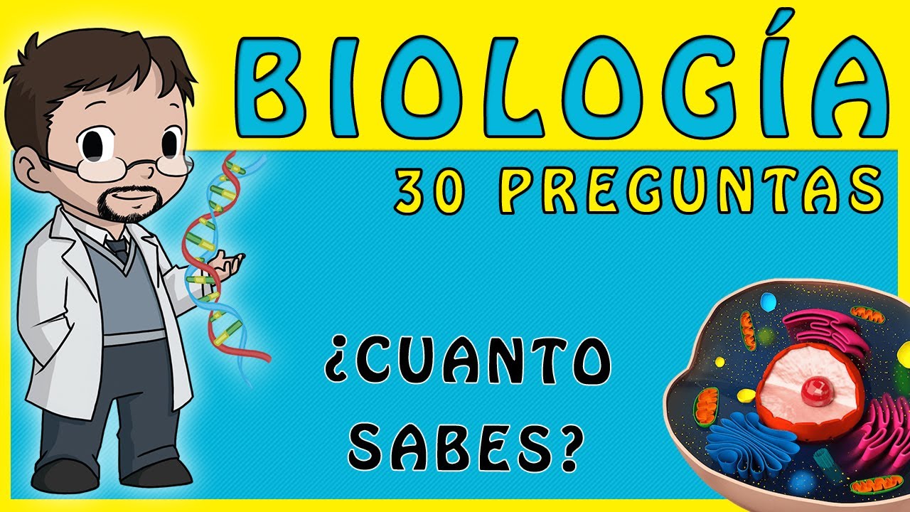 preguntas sobre niveles de organizacion de los seres vivos