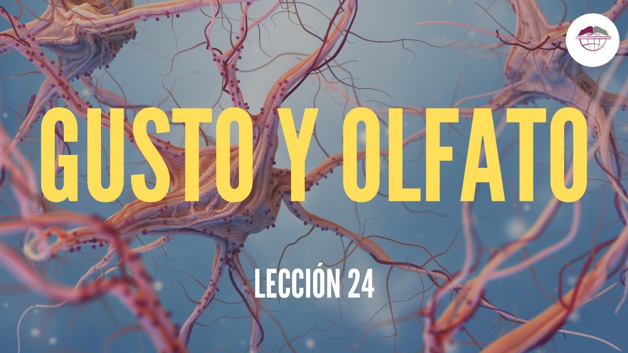 relacion entre el sentido del gusto y el olfato