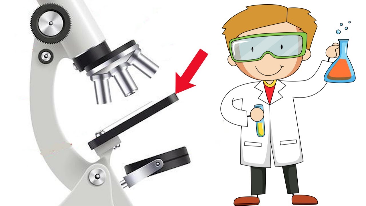 son los tres sistemas que conforman los microscopios