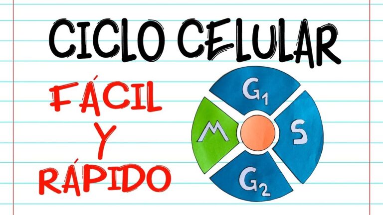 Descubre Ejemplos Prácticos de Ciclo Celular en la Vida Diaria