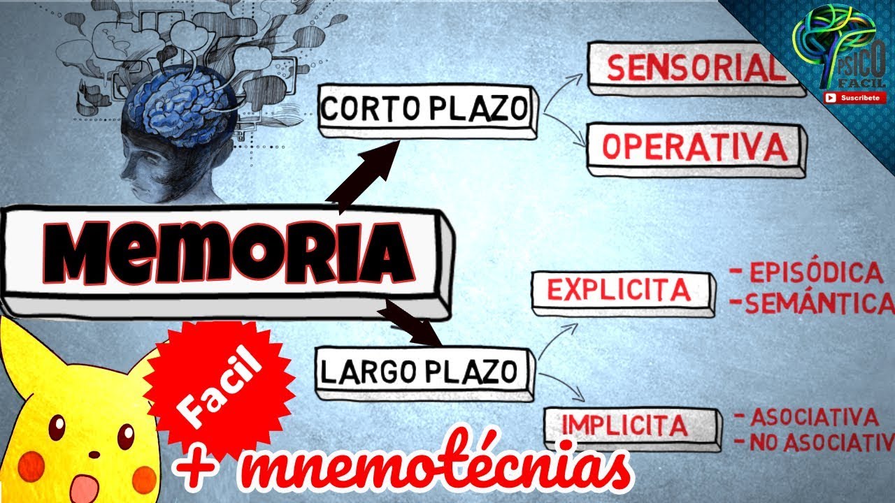 memoria a corto plazo y memoria a largo plazo