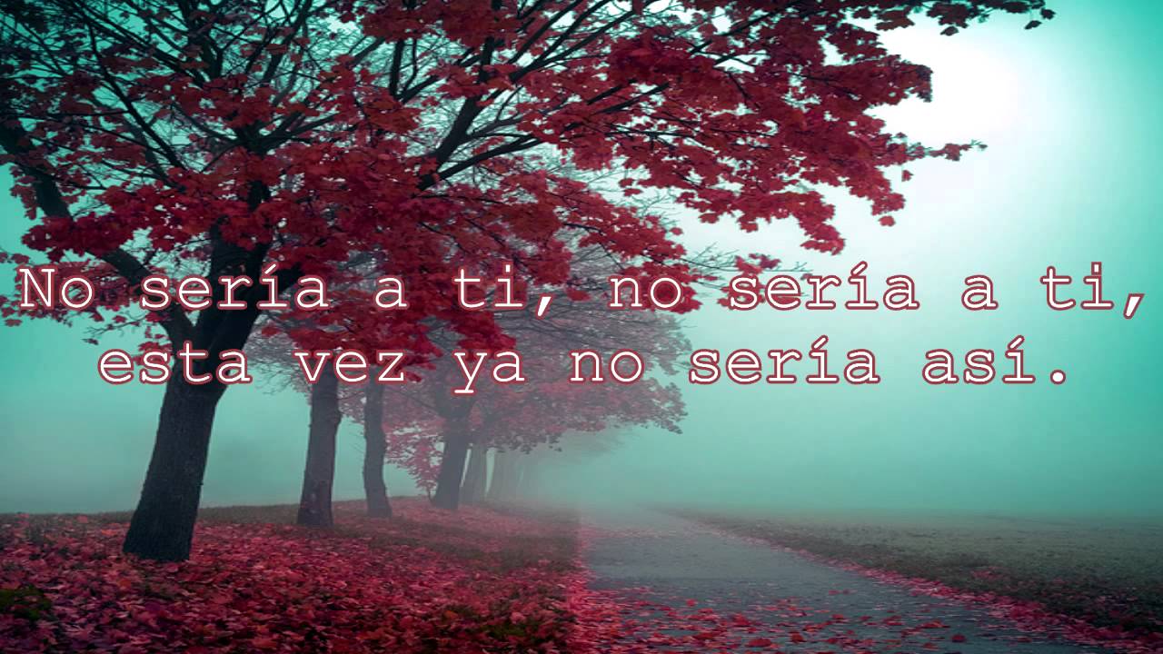 no supiste ver lo que hay en mi