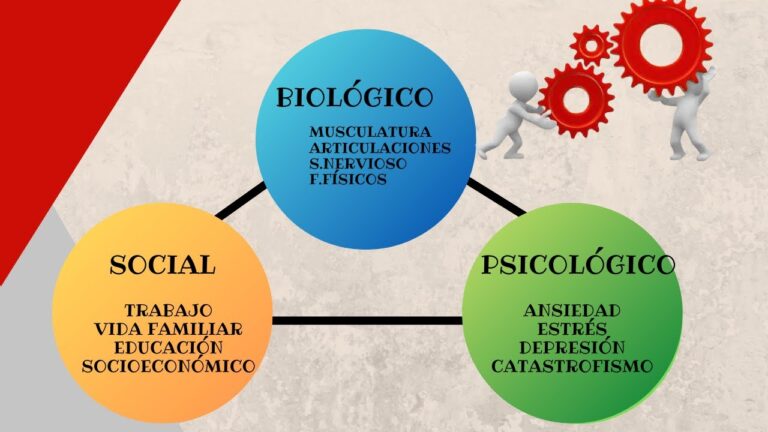 Descubre por qué el ser humano es un ser biopsicosocial: Un enfoque