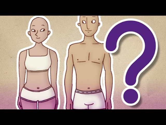 que diferencia hay entre un hombre y una mujer