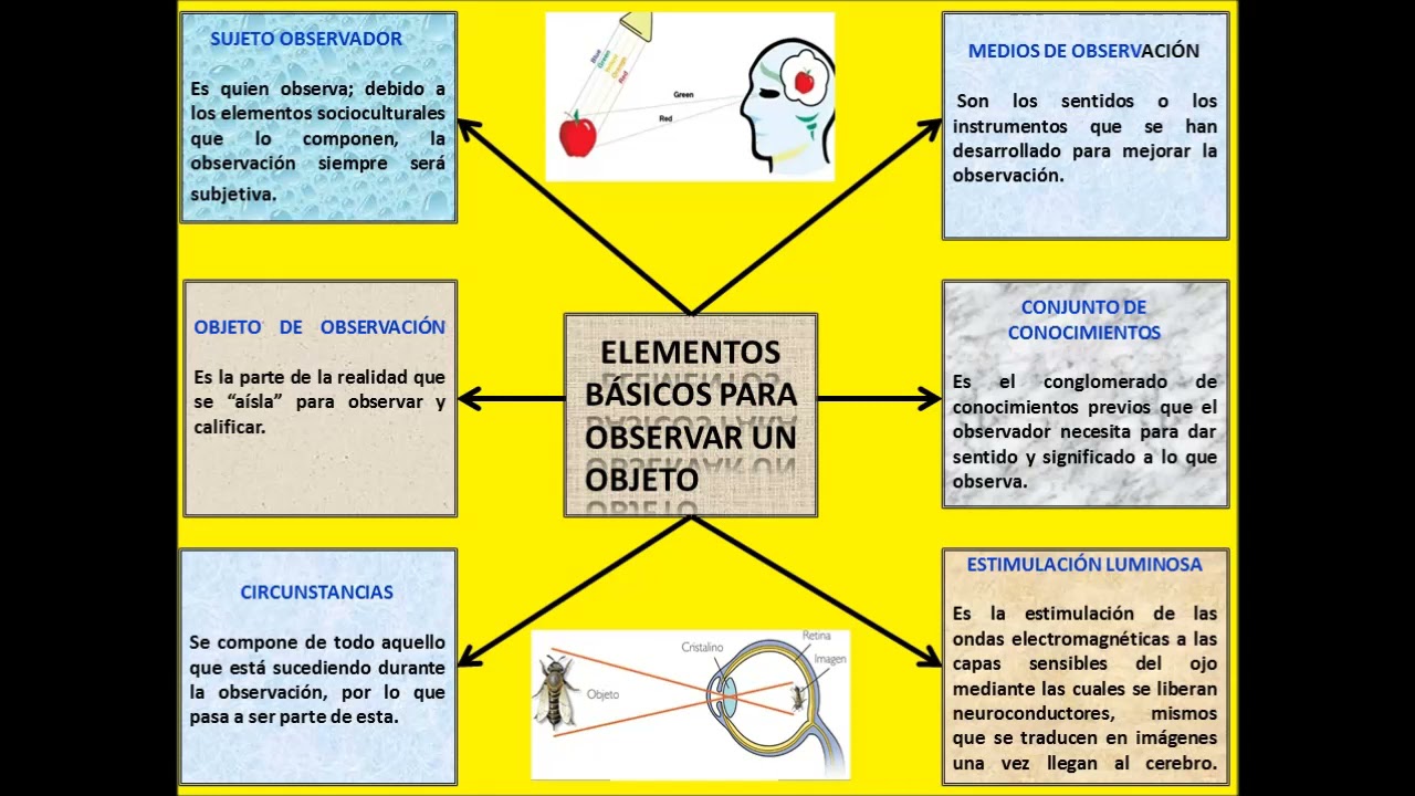 qué elementos son necesarios para poder observar un objeto