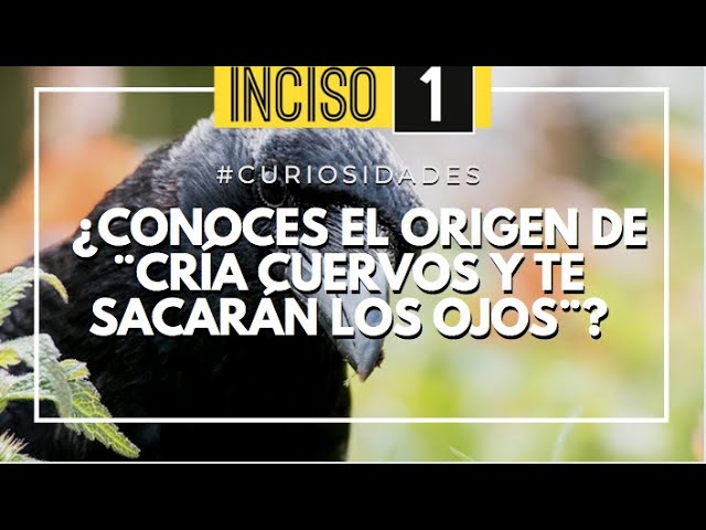 que significa cría cuervos y te sacarán los ojos